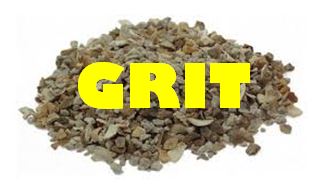 grit2